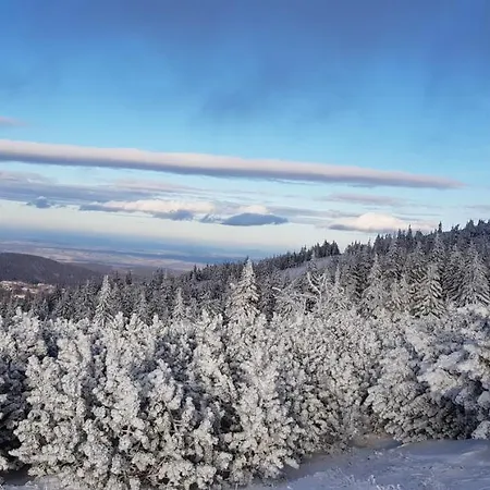 Lejlighed Gorski Widok