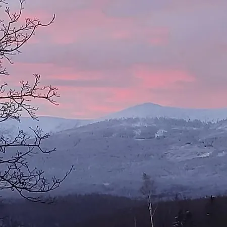 Gorski Widok Lejlighed *