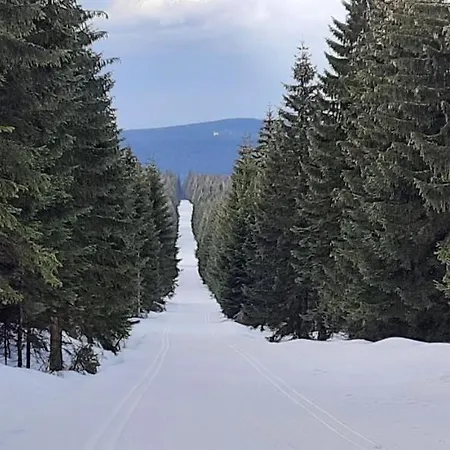 Gorski Widok Lejlighed