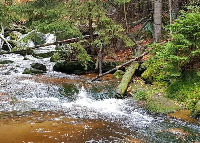 Apartment Gorski Widok