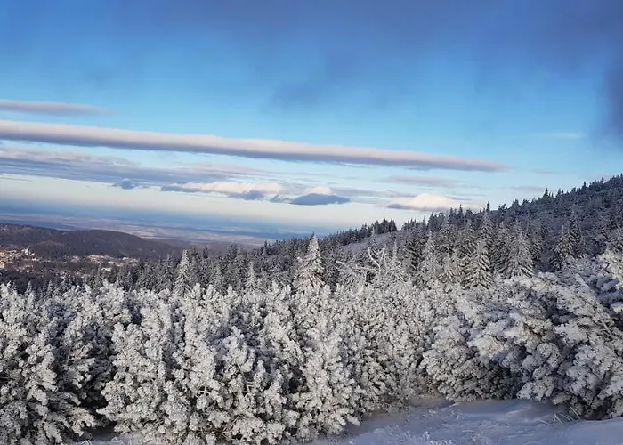 Apartment Gorski Widok