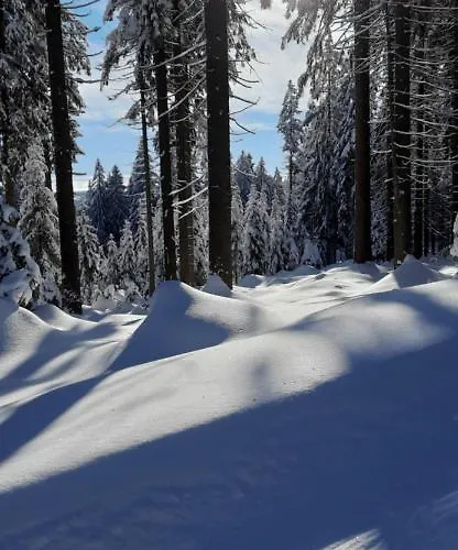 Apartment Gorski Widok Szklarska Poreba