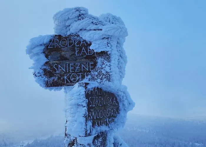 Apartment Gorski Widok