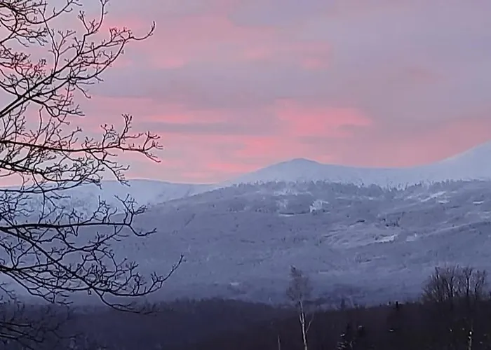 Gorski Widok Apartment *