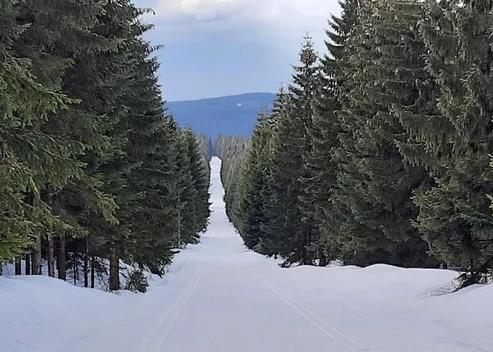 Gorski Widok Apartment